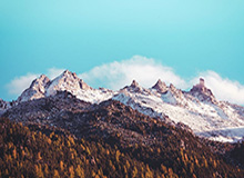 米乐体育：让运动改变你的生活